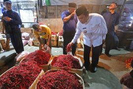 Jaga pasokan, masyarakat Tangerang diajak tanam cabai