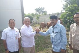 SKK-Migas PetroChina Serahkan Bantuan 29 Ekor Sapi ke Kelompok Tani di Kualatungkal Tanjab Barat