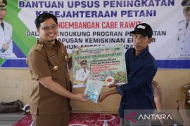 Bupati HST salurkan bantuan pengembangan cabai rawit bagi 330 petani