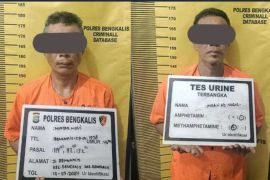 Bantu teman edarkan narkoba, dua warga Bengkalis diringkus polisi
