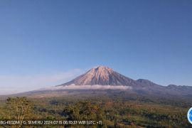 Status Gunung Semeru turun dari siaga menjadi waspada