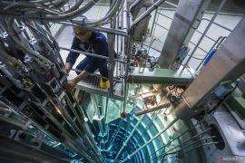 Peneliti BRIN mengungkap pemanfaatan nuklir mampu tingkatkan mutu pangan