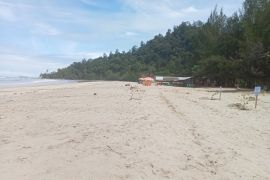 Pasaman Barat miliki destinasi wisata pantai barat khatulistiwa