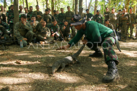 Latihan bertahan hidup Marinir Indonesia-Amerika Page 1 Small