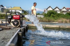 Produksi garam rakyat terhenti total di Palu Page 3 Small