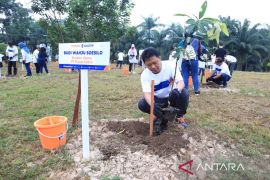 Pupuk Kaltim tanam 634 ribu pohon program Community Forest