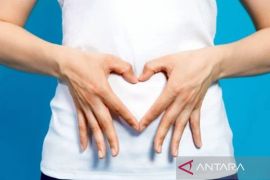 Kiwi dan air mineral dapat bantu redakan sembelit