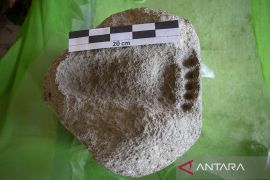 Temuan diduga artefak batu tapak di Indramayu