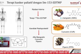 BRIN kembangkan senyawa radioprotektif bahan alami untuk terapi kanker