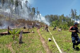 BPBA: Karhutla terjadi di Aceh Besar dan Bener Meriah di tengah musim kemarau