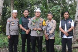 Polres HSS laksanakan pemusnahan pohon kecubung di Gambah Dalam Barat