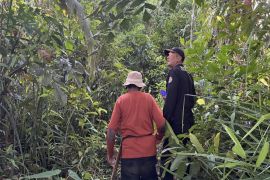 BKSDA: Kamera trap di Pulau Hanibung rekam kemunculan berbagai satwa