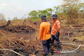 BPBD Aceh Barat padamkan kebakaran lahan di areal seluas 5,1 Ha