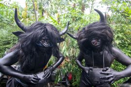 Tradisi ritual Kebo-keboan Alas Malang