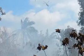 Helikopter bom air padamkan karhutla 5 ha di Siak