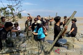 Gemawan gencarkan SIGAP edukasi generasi muda jaga ekosistem Mangrove