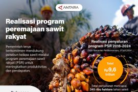 Realisasi program peremajaan sawit rakyat