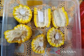 Polresta Samarinda  tangkap dua pelaku penyeludupan sabu ke lapas