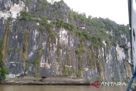 Kaltim dikunjungi 14.475 wisman  di semester I