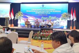 Keminves harap OAP investasi hilirisasi tingkatkan ekonomi