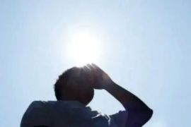 PBB sebut cuaca panas ekstrem menewaskan hampir 500 ribu orang