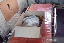 Warga AKT Banjarmasin Utara geger temuan mayat bayi