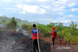 Dibutuhkan pembasahan lahan gambut cegah kebakaran meluas di Kubu Raya