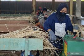 Indonesia jadi eksportir rotan olahan terbesar dunia