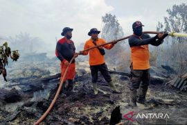 12 Ha lahan gambut di Nagan Raya terbakar, sebagian kebun sawit