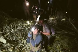 Harimau mati terjerat di Agam pernah muncul di dua kecamatan