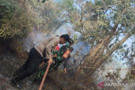 Oknum warga di Mukomuko sengaja bakar lahan gambut untuk kebun sawit