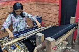 Pemprov Sumut targetkan basis data  ekonomi kreatif selesai 2025