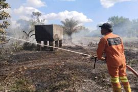 BPBD sebut kasus karhutla terjadi puluhan kali di Palangka Raya