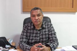 Harga TBS kelapa sawit di Sultra naik jadi Rp2.200/kg