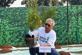 Mal Ciputra Tangerang berpartisipasi gerakan tanam pohon bersama