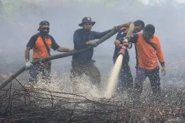 Menteri LHK klaim Karhutla dan deforestasi menurun drastis