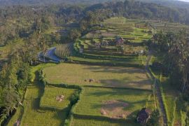 Mengenal Desa Angseri, Desa BRILiaN dengan tata kelola terbaik