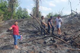 Bakar lahan untuk tanam sayur, pria di Pekanbaru dibui
