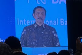 Menko Luhut bidik Afrika jadi pasar baterai EV produksi Indonesia