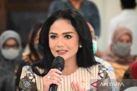 Kris Dayanti minta pemerintah perketat pemberian izin klinik kecantikan