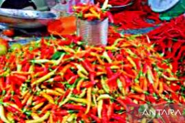 Pemkab Buru Maluku gelar pasar murah kendalikan harga cabai