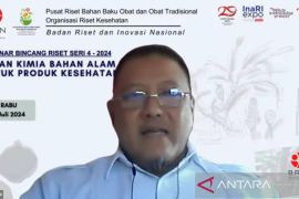 Peneliti BRIN kembangkan bawang hitam untuk terapi kardiovaskular