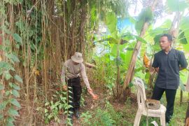 Warga Terara Lotim digegerkan dengan penemuan orok bayi perempuan