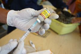 Banten kemarin, vaksin rabies hingga upaya penurunan kematian ibu-bayi