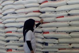 Dari stok 17.700 ton, Bulog Sultra siapkan 10.000 ton beras SPHP