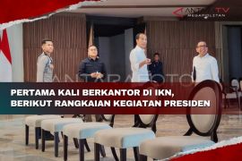 Pertama kali berkantor di IKN, Berikut rangkaian kegiatan Presiden