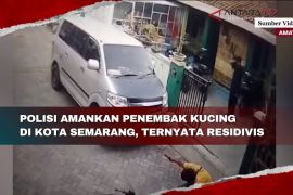 Polisi amankan penembak kucing di Kota Semarang, ternyata residivis