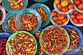 Pemkab Malteng  subsidi harga cabai upaya kendalikan inflasi