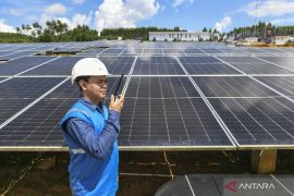 Menatap masa depan energi hijau di Indonesia