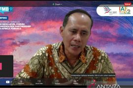 Indonesia menjadikan Bandung Spirit fondasi kerja sama dengan Afrika